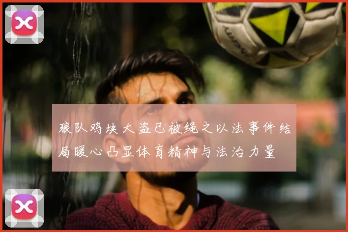 狼队鸡块大盗已被绳之以法事件结局暖心凸显体育精神与法治力量