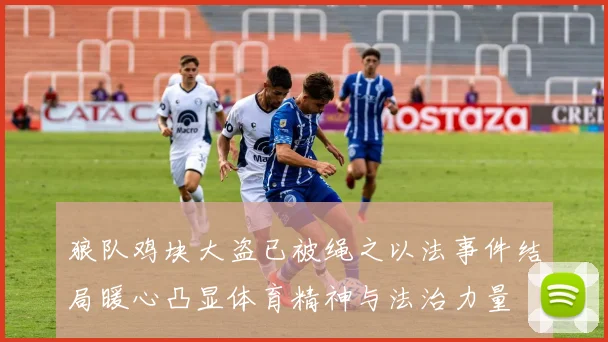 狼队鸡块大盗已被绳之以法事件结局暖心凸显体育精神与法治力量