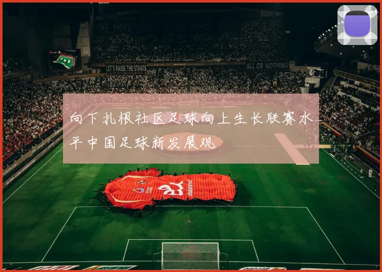 向下扎根社区足球向上生长联赛水平中国足球新发展观